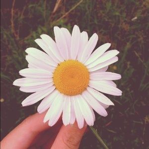 Meet your Posher, Rochelley